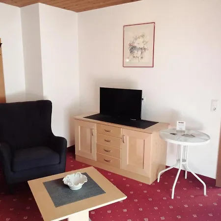 Haus Daniela 公寓 *